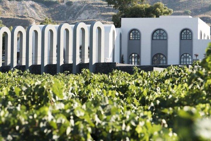 Half Day Private Wine Tasting Tour in Santorini