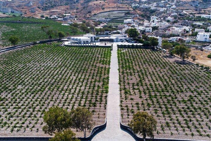 Half Day Private Wine Tasting Tour in Santorini