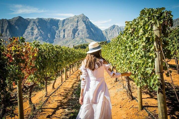 Cape Peninsula Helicopter Private Tour with Stellenbosch Wine Tasting & Lunch