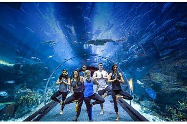 Dubai Mall Aquarium with Penguin Cove + Skyview Ticket