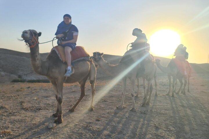 Agafay desert sunset camel ride Tour from Marrakech