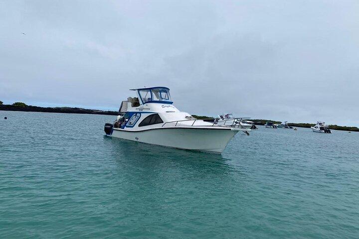 Transfer from Santa Cruz Island to San Cristobal Island