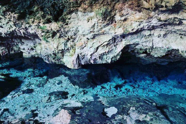 Kuza Cave Tour; Blue Lagoon Snorkeling; Starfish Adventure; The Rock; Paje Beach