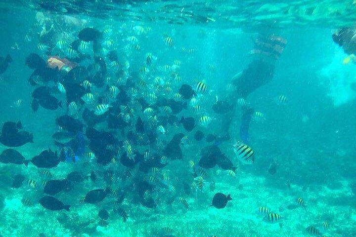 Cancun Jetski and Snorkel Adventure