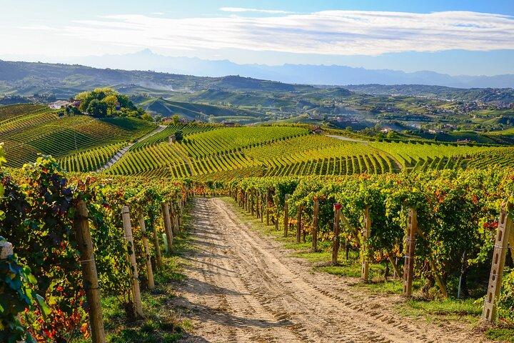 "Langhe del Barolo" Private E-bike Tour - Asphalt and Dirt Road