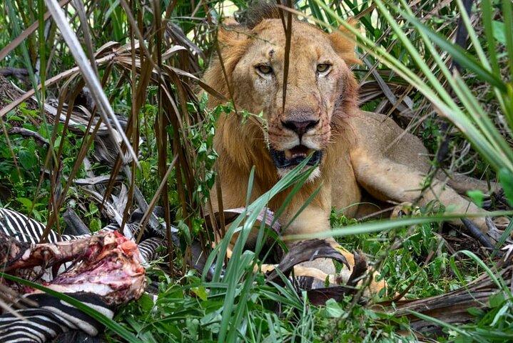 4 Days 3 Nights Selous (Nyerere national park) & Mikumi Adventure