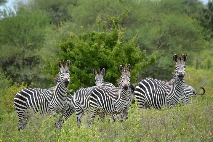 4 Days 3 Nights Selous (Nyerere national park) & Mikumi Adventure