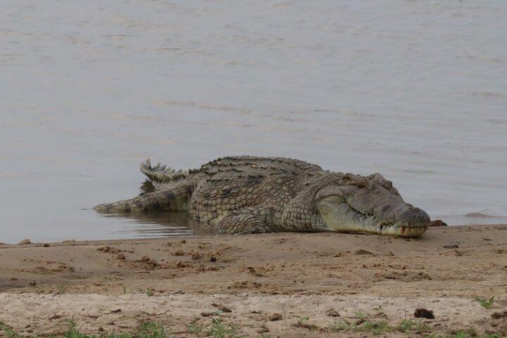 4 Days 3 Nights Selous (Nyerere national park) & Mikumi Adventure