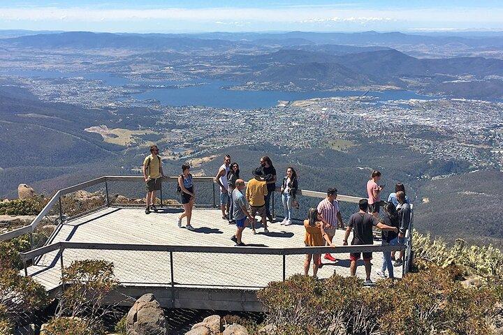 Easy Bike Tour - Mt Wellington Summit Descent & Rainforest Ride