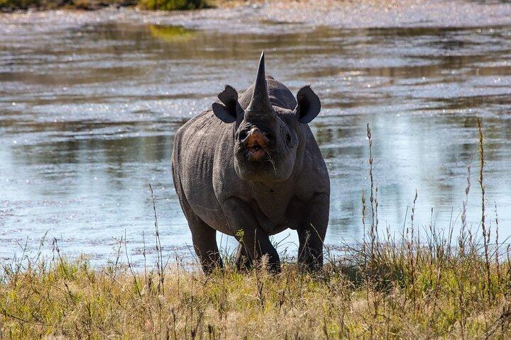 7-Day Midrange Tanzania Safari Adventures (Big 5)
