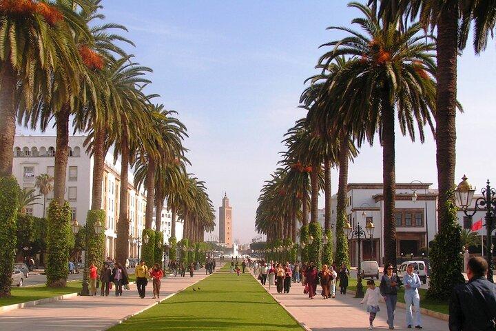 Northern Morocco and Blue city Private Tour