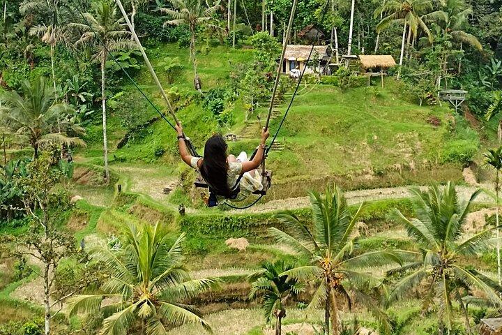 Ubud Waterfall Swing And Spring Temple Private Guided Tour