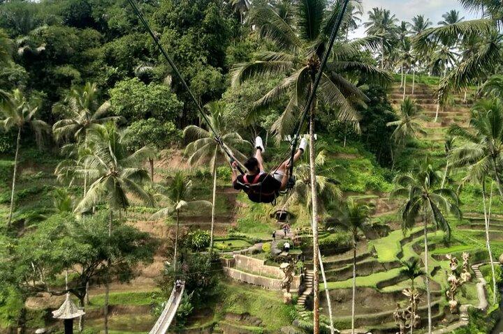 Ubud Waterfall Swing And Spring Temple Private Guided Tour