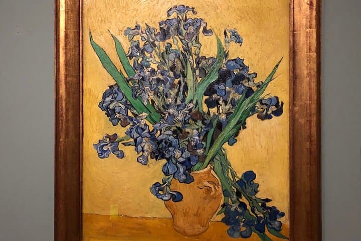 Van Gogh Museum, Rijks Museum & Walking Tour - Private Day Tour