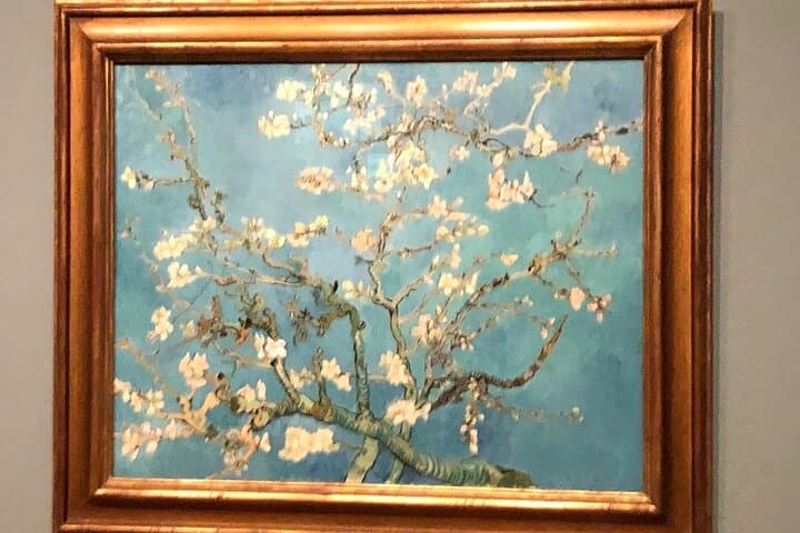 Van Gogh Museum, Rijks Museum & Walking Tour - Private Day Tour