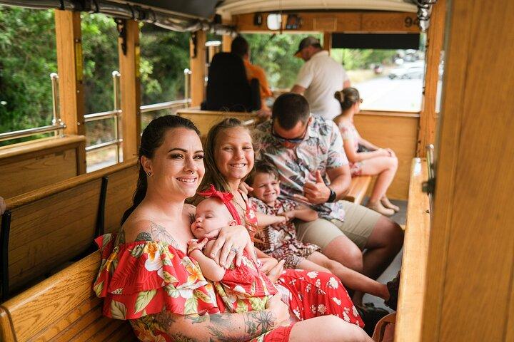 Waikiki Trolley Hop-On Hop-Off Tour of Honolulu