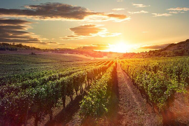 Sunset Sip Wine Tour