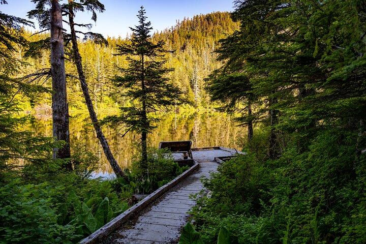 Ketchikan Mountain Lake Trek to Avalanche Chute