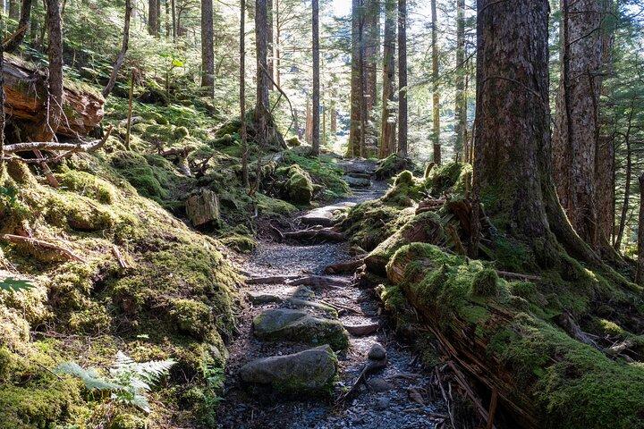 Ketchikan Mountain Lake Trek to Avalanche Chute