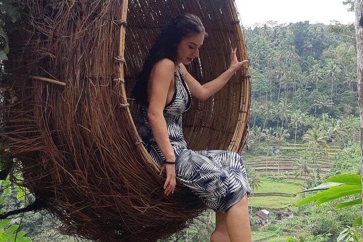 Best Bali Ubud Full Day All-Inclusive Private Tour