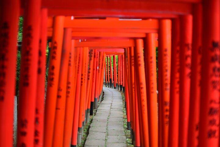 Professionally guided Tokyo Private Walking Tour