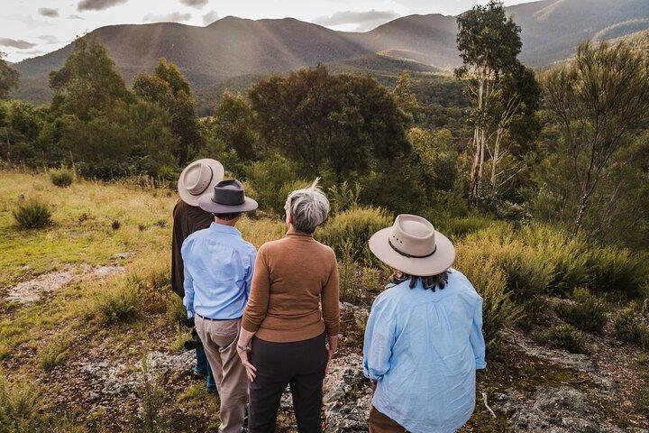 Kangaroos and Koala Experience Tour