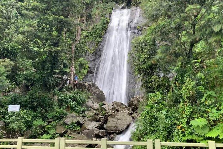 El Yunque National Forest and Luquillo Beach Tour
