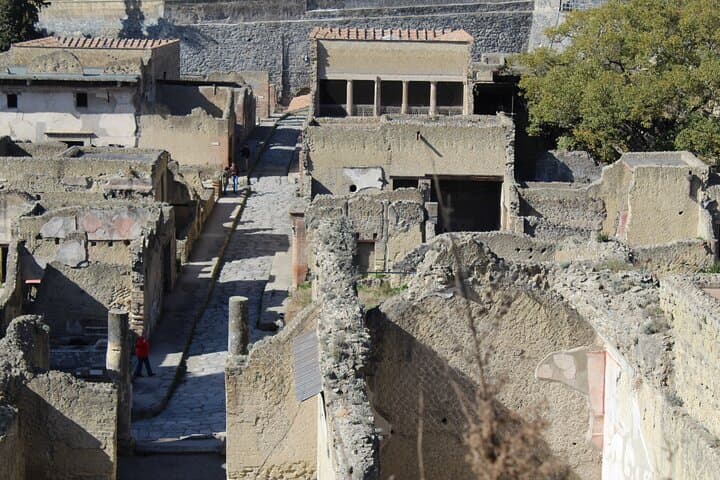 Herculaneum Private Guided Tour Led by a Local Top-rated Guide - All inclusive