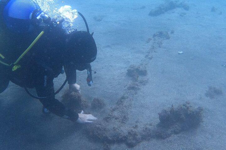 Terceira Azores: Scuba-Double dive Trip(certified Divers)
