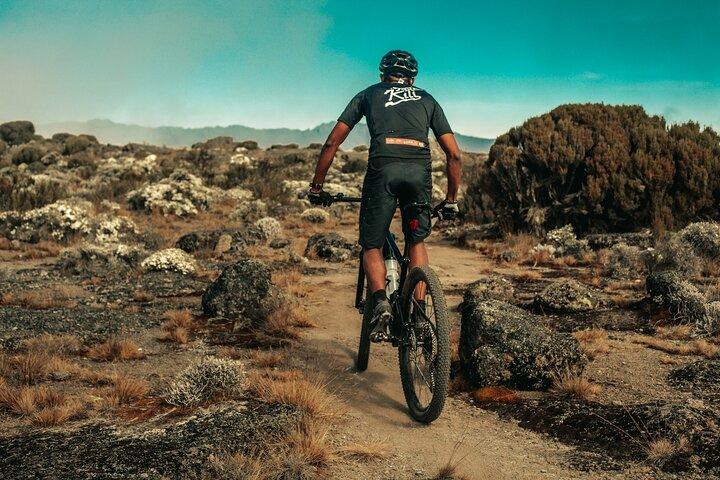 Kilimanjaro Shira Plateau E-Bike Day Trip