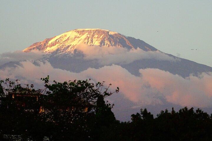 Kilimanjaro Shira Plateau E-Bike Day Trip