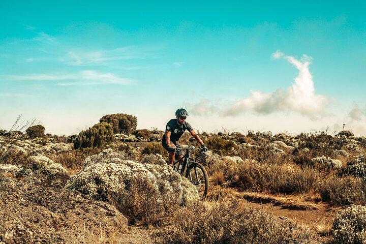 Kilimanjaro Shira Plateau E-Bike Day Trip