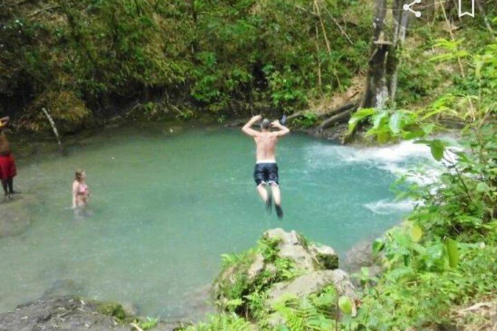 Mayfield Falls Tour with Lunch, drink, Entry & Transp(Original)