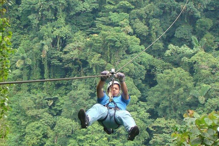 Monteverde Cloud Forest Hike and Hanging Bridges Tour From Guanacaste