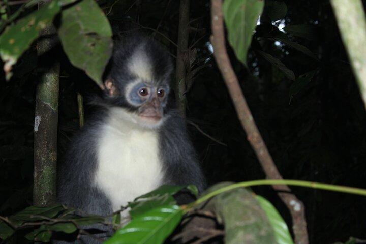 Bukit lawang tour 3days-2 night jungle trekking including rafting