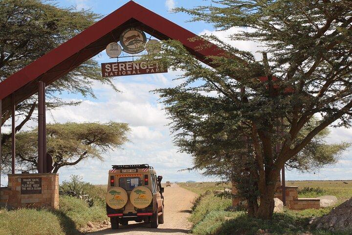 8 Days Tanzania Simba Luxury Safari