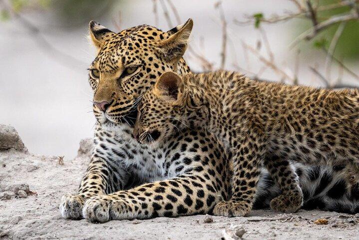 4 Days Best Budget Tanzania Camping Safaris