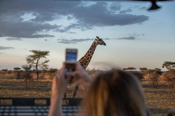 5 Day Adventure Camping Safari to Serengeti, Ngorongoro crater & Tarangire