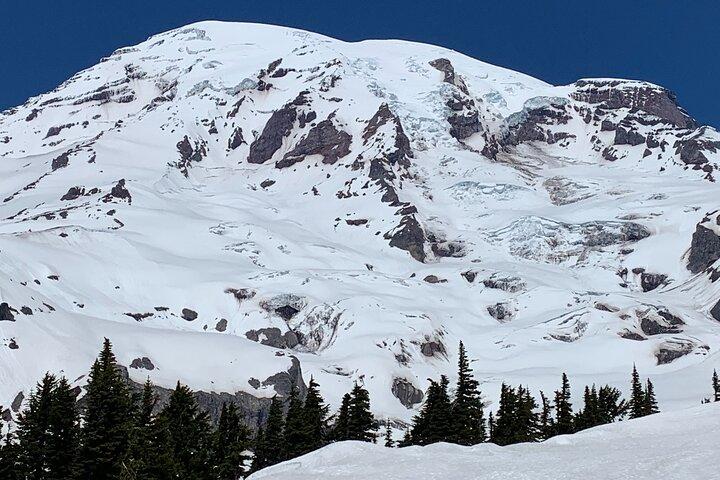Guided hike on Mt. Rainier - old forest, falls and glacier views