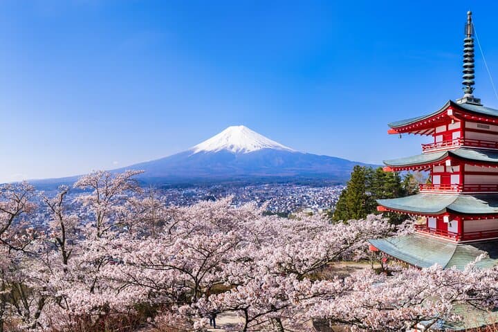 Mt.Fuji and Hakone Tour by Private Vehicle