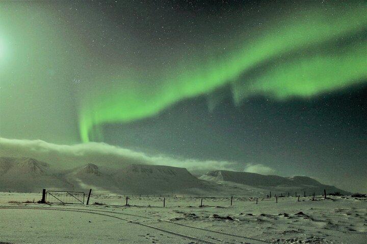 Photography tour - Northern light Hunting from Akureyri