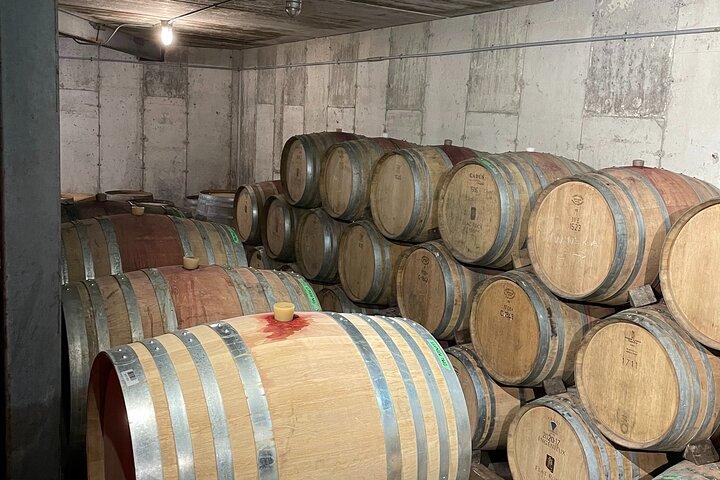Three Courses Lunch and Wine Tour Through Niagara's Wine Country