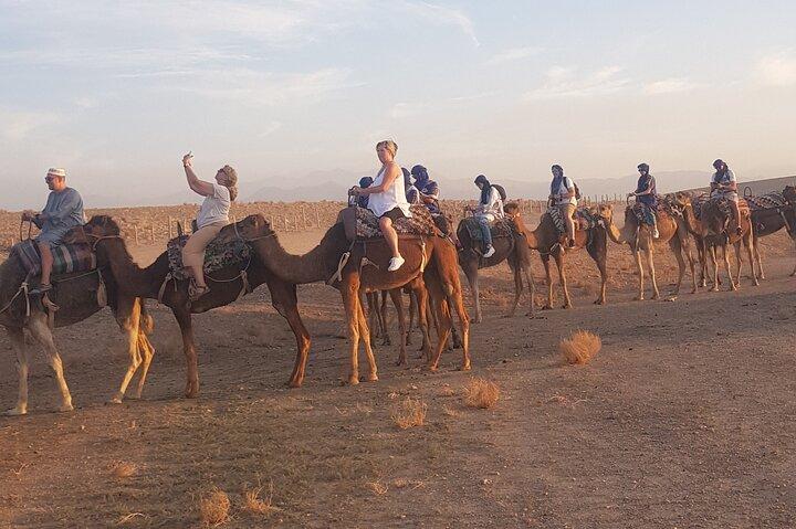 Sunset and Dinner with show in agafay desert