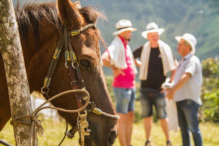 Coffee Tour In Horse Riding and Lunch In Medellin