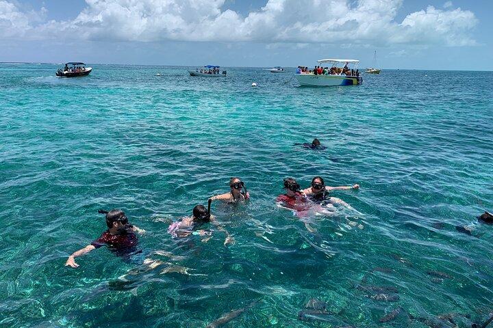 Second largest Barrier Reef Adventure