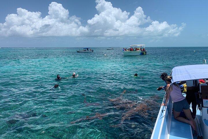 Second largest Barrier Reef Adventure