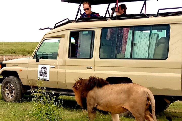 4 Days Budget Camp Safari Serengeti, Ngorongoro Crater and Tarangire Park