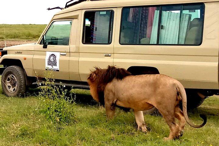 5 Day Adventure Camping Safari to Serengeti, Ngorongoro crater & Tarangire