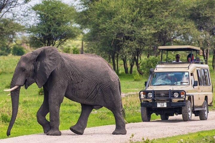 5 Day Adventure Camping Safari to Serengeti, Ngorongoro crater & Tarangire
