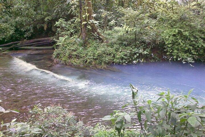 Rio Celeste Waterfall and Sloth Sactuary Full-Day Tour with Lunch
